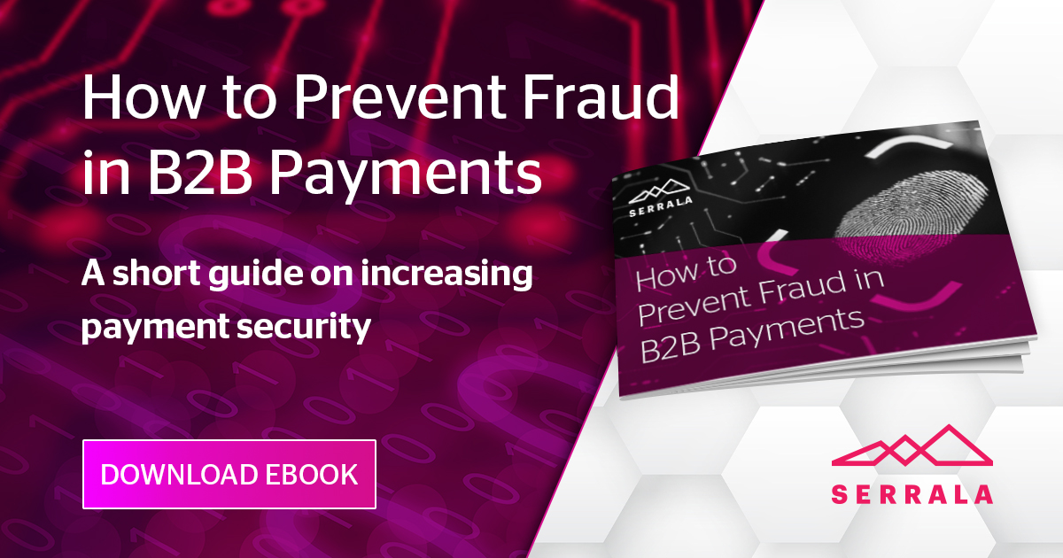eBook: How to prevend B2B payments fraud