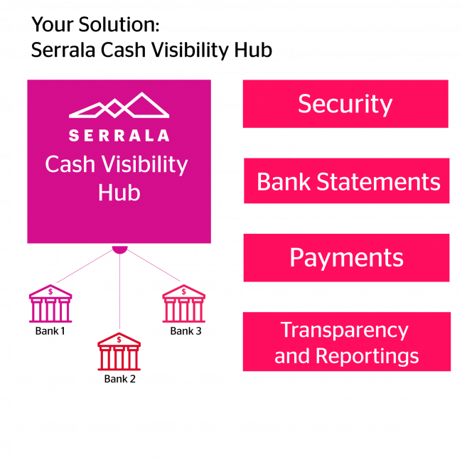 Cash Visibility Hub