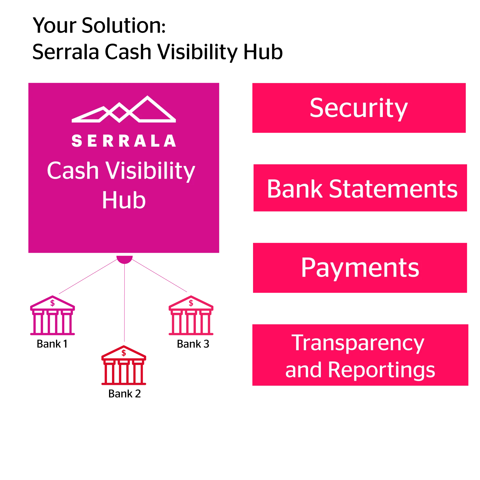 Cash Visibility Hub